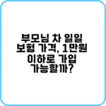 부모님 차 일일 보험 가격 비교