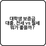대학생 보증금 대출 간단 가이드